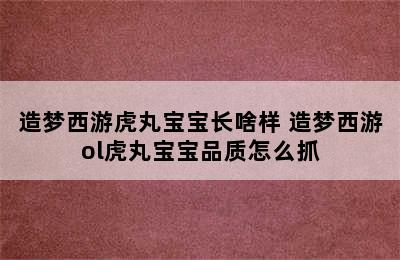 造梦西游虎丸宝宝长啥样 造梦西游ol虎丸宝宝品质怎么抓